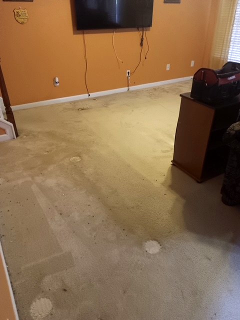 Worn, stained carpet in a living room before the flooring project