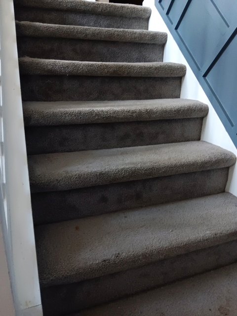Carpeted staircase from another angle before the stairs project