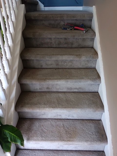 Carpeted staircase with worn steps before the stairs project